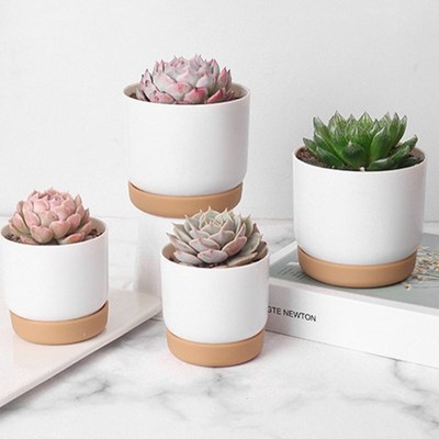 Plastic Imitation Ceramic Succulent Plant Pots Flower Pot-La