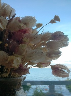 Microfibre Bedroom Kitchen Bathroom Floor Shower Mat Rug New