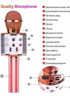 WS858 Professional Wireless karaoke Microphone Speaker Cond