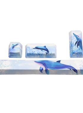 4keys/set Keycap ESC Spacebar Mechanical Keyboard Computer P