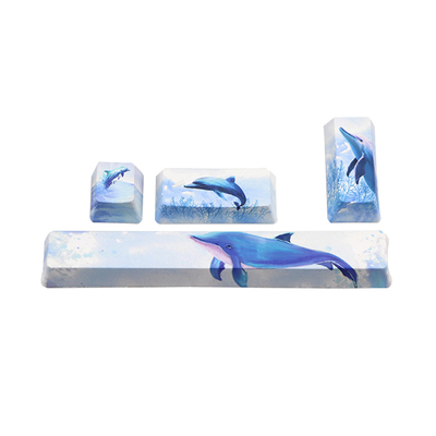 4keys/set Keycap ESC Spacebar Mechanical Keyboard Computer P