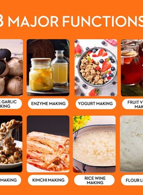 All in 1 Black Garlic Fermenter 6L Large Capacity Home DIY S