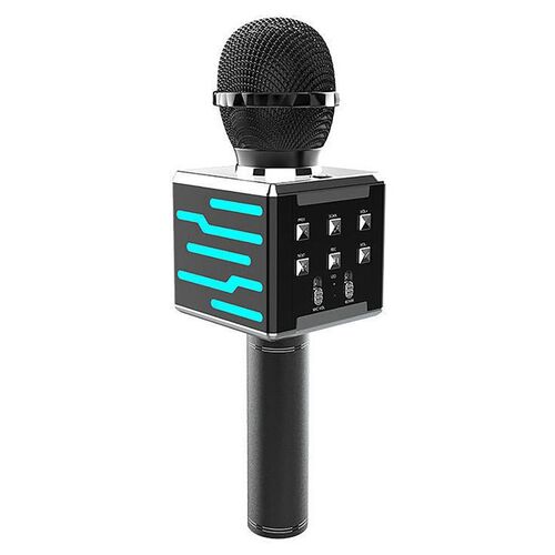 DS868 Wireless Microphone USB Professiona Handheld Player B