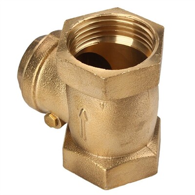 1 Inch BSPP Swing Check Valve Prevent Water Backflow Golden