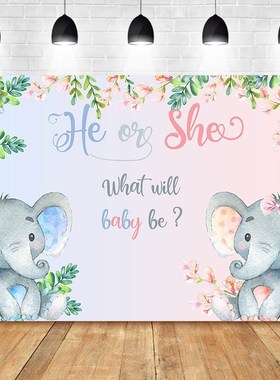 NeoBack Gender Reveal Photo Backdrop Newborn Baby Shower Ba