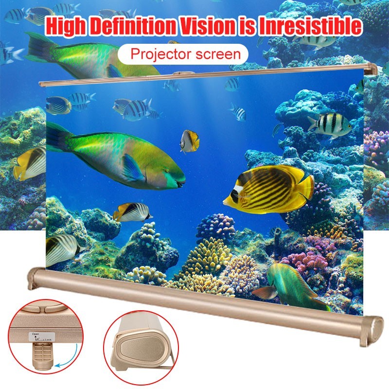 20 Inch Micro Projector Screen Foldable 169 Projection Scre