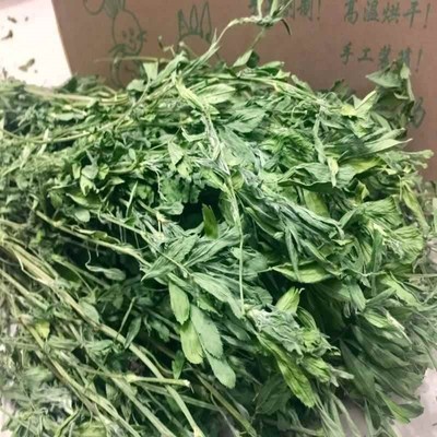 Alfalfa hay immature rabbit food guinea pigs totoro duchemin