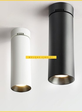 Ceiling Lamp Light Surface Mounted DownLight Spot LED rack L