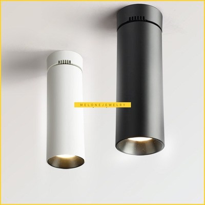 Ceiling Lamp Light Surface Mounted DownLight Spot LED rack L