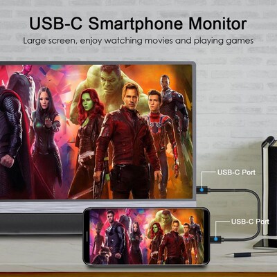 Mini 12.5'' 1080p portable monitor Type USB C  for S