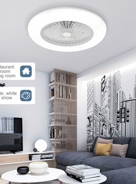 Ceiling Fan with Lighting LED Light Adjustable Wind Speed wi
