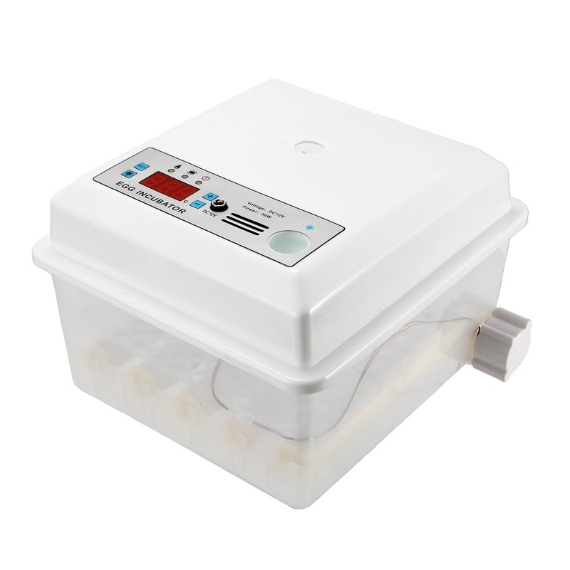 220V 16 Egg Automatic Incubator Household Digital Mini Brood