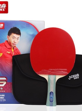 DHS 5-star table tennis racket with two side pimples in tabl