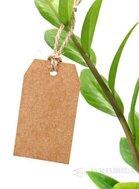 300Pcs Kraft Paper Gift Tags 2 x 1inch Craft Tag with String