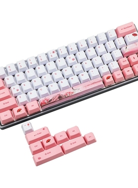 5 Side Dye Subbed PBT Keycap 72 Keys Mechanical Gaming Keybo