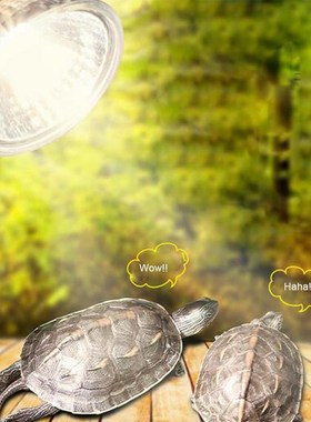 HobbyLane UVB 3.0 Reptile Lamp Bulb Turtle Basking UV Light