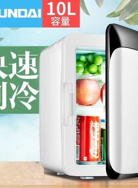 Small 10L Refrigerator Mini Fridge Freezer Cold Box For Car