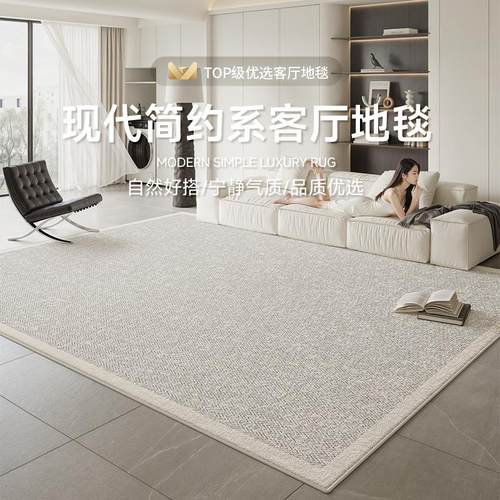 地毯客厅卧室2025新款轻奢高级现代简约床边免洗可擦防水防污地垫