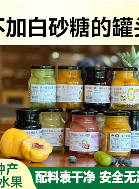 9种罐头果汁黄桃桔子杨梅葡萄【0白砂糖-不添加甜味剂】水果罐头