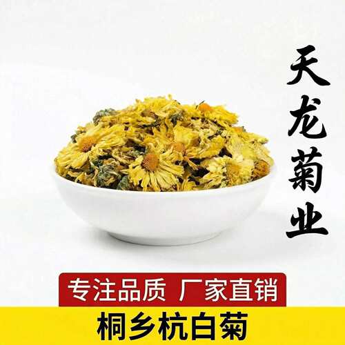 直销桐乡原产地杭白菊朵菊杭州散装菊花茶朵花量大从优