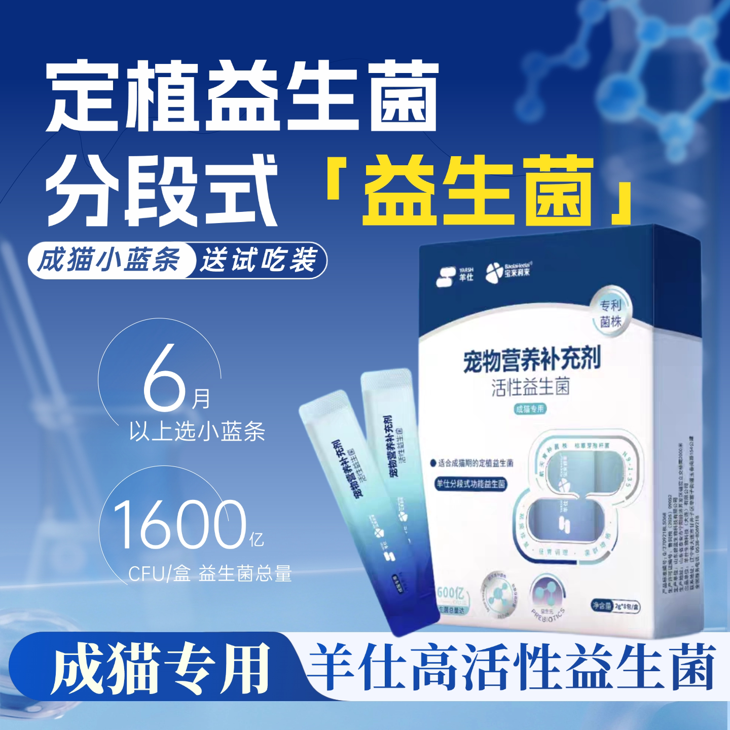 怕老婆的豆哥猫咪益生菌调理肠胃