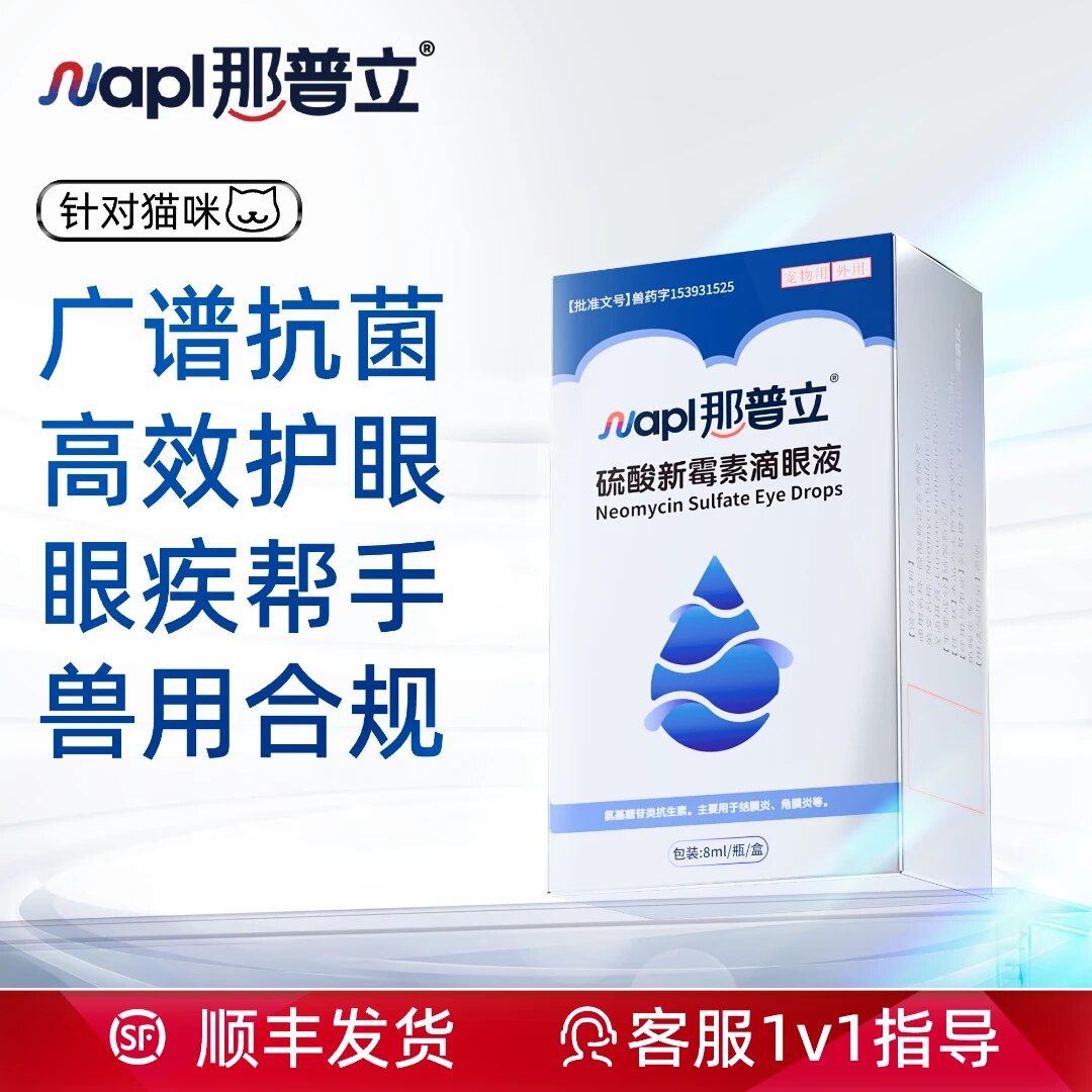 怕老婆的豆哥猫狗兽药级眼药水