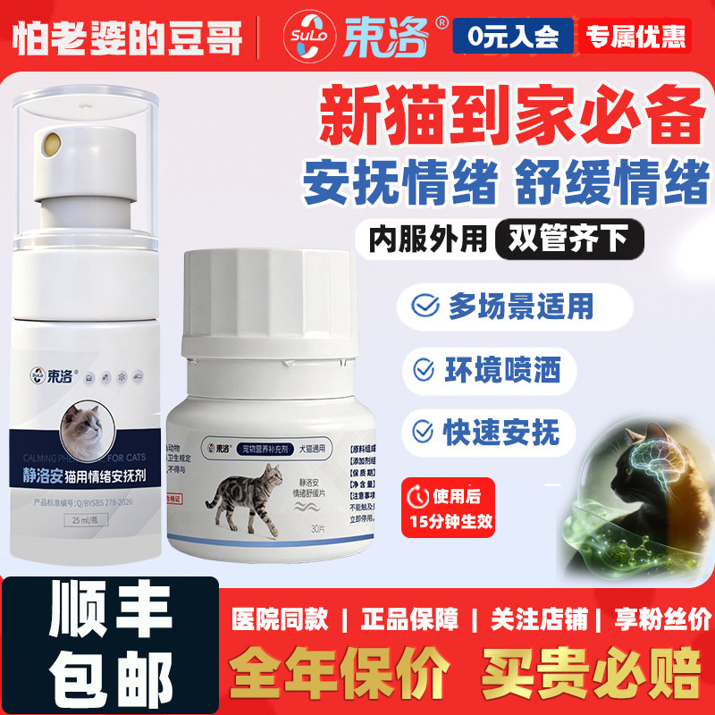 快递安抚猫咪，帮助进入舒缓状态
