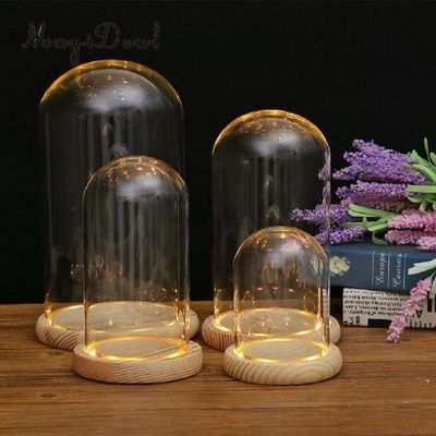 Desk Decor Glass Light Up Display Dome Cover Shade Shield