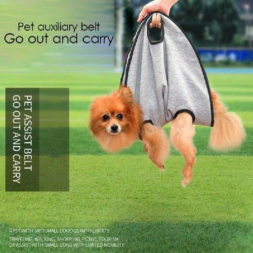 Pet Bag Traveling Portable Auxiliary Belt Small Dog Going