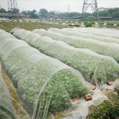Garden Vegetable Insect Net Cover Plant Flower Care Protecti