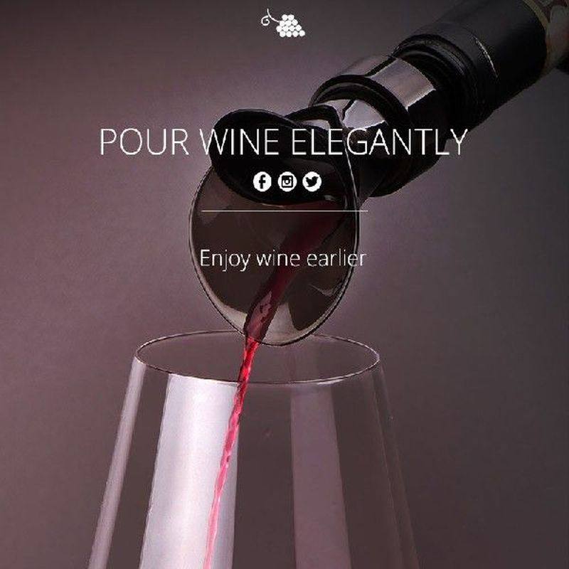 2 in 1 red wine stopper pourer funnel pouring decanter