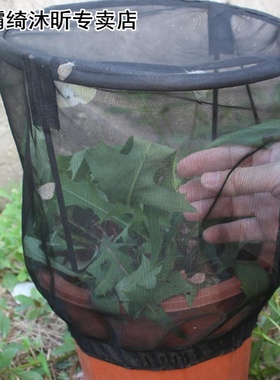 Butterfly Habitat Flower Pot Insect Feeding Net Cage Observa