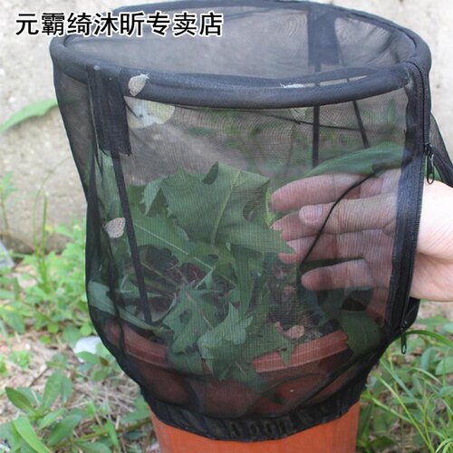 Butterfly Habitat Flower Pot Insect Feeding Net Cage Observa