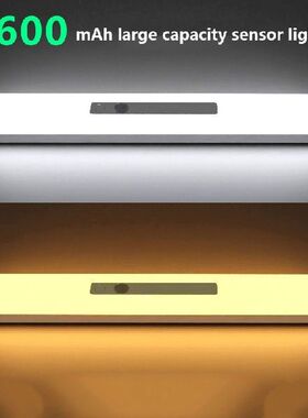 Intelligent LED Human Body Sensor Light USB Rechargeable Dim