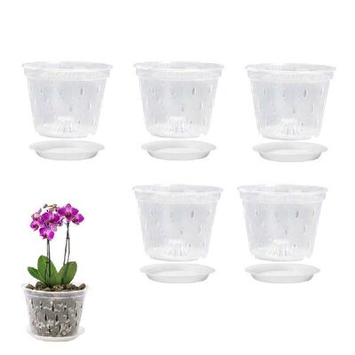5Pc Garden Transparency Nursery Pots Planting Nutrition Cup