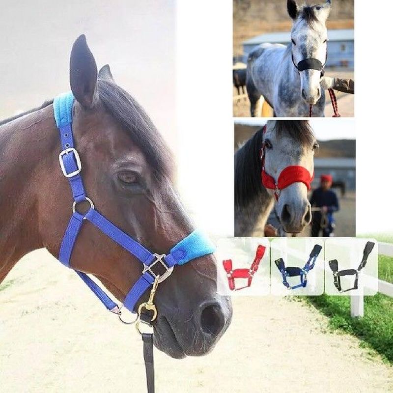 Thicken Pony Cob Horse Halter Rein Head Collar Horse Racing