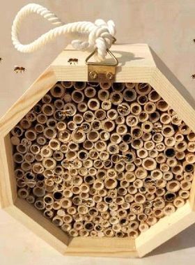 Safe Bee Home for Pollinators Wild Pollinator Mason Bee