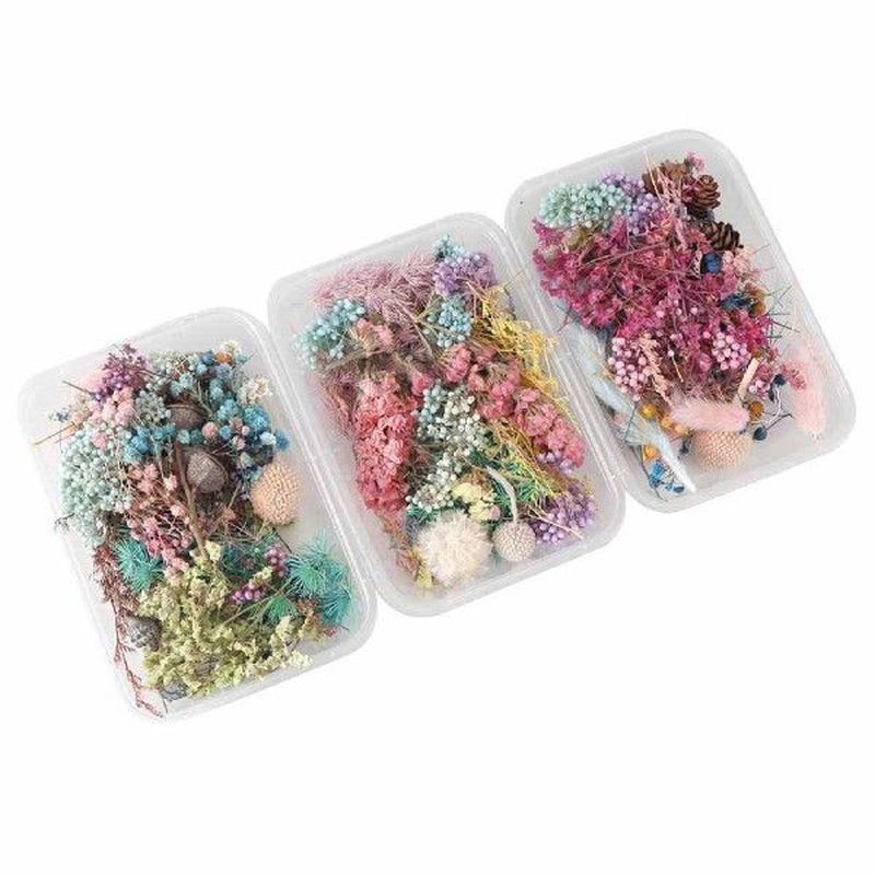1 Box Colorful Real Dried Flower For DIY Scented Candle