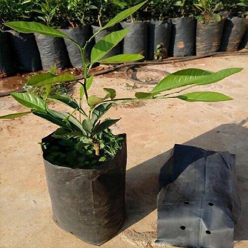 100 Pcs Pe Plastic Nursery Bags Plant Grow Bags Seedling