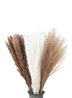 Hot 80Pcs Natural Dried Pampas Grass, Dried Grass Dried