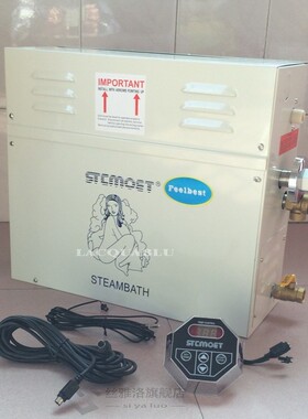 9KW Steam Generator for Shower 220V/380V Home Steam Machine