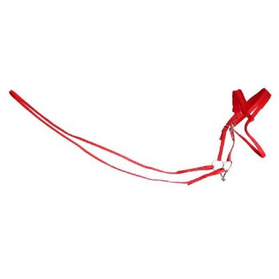 Strong Equestrian Horse Riding Bridle + Reins Set for Horse