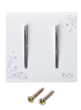 Luxury Wall Light Switch 2 Gang 1 Way Ivory White Brief Art