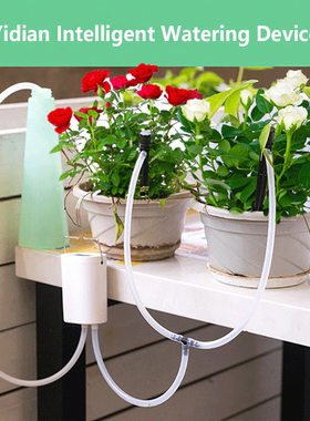 8/4/2 Head Pump Timer System Indoor Automatic Watering Pump