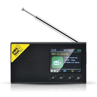 Portable Bluetooth Digital Radio DAB/DAB+ and FM Receiver