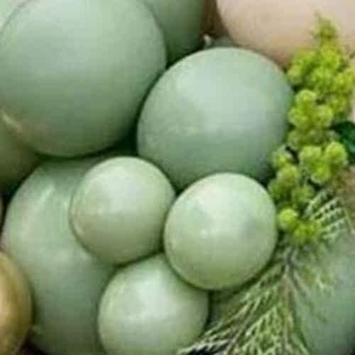 Hot 100Pcs Green Balloons Olive Green Balloons Eucalyptus