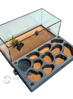 3D Acryl Flat Ant Farm Ecological Ant Nest with Feeding Area