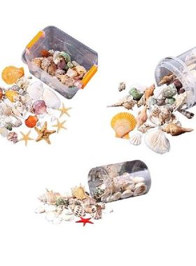 Sea Shells Ornaments Aquarium Decor 3 Choice Mixed Beach