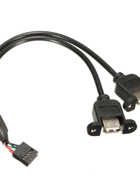 9 Pin To USB 2.0 Type A Female Header Adapter Cable Motherbo