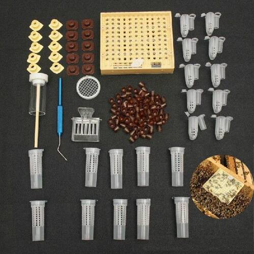 1set bee queen rearing king new plastic brown/green color